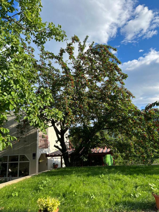 Apartament Green Valley Оміш Екстер'єр фото